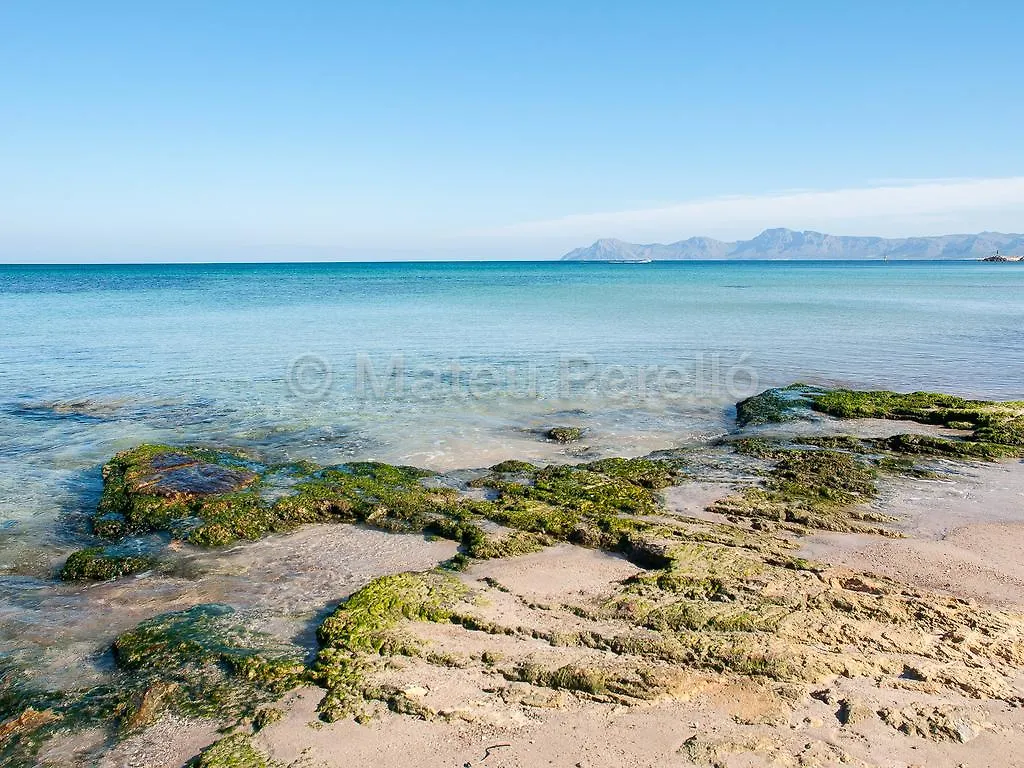 Apartamentos Obelisc Can Picafort  0*, Can Picafort (Mallorca) İspanya